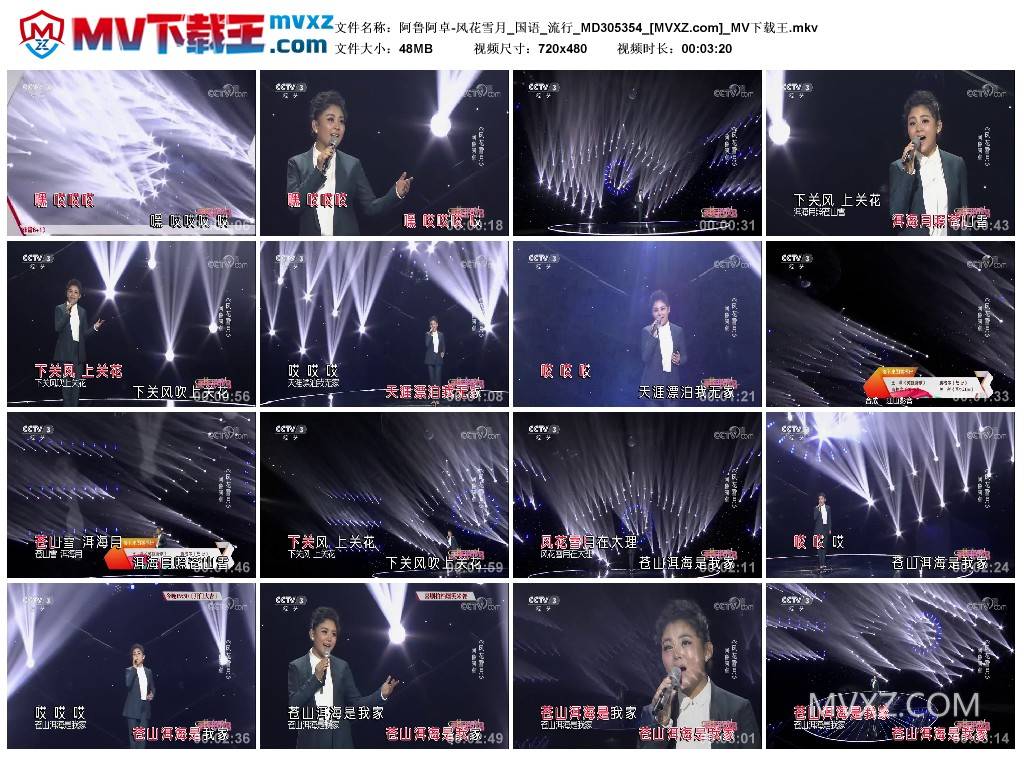 阿鲁阿卓-风花雪月_国语_流行_MD305354